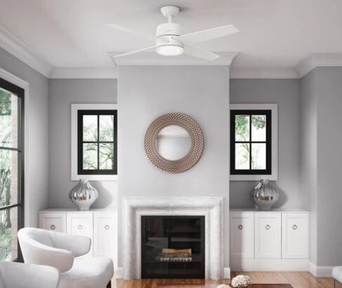 best ceiling fan with light